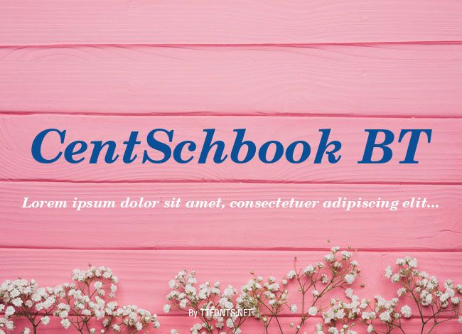 CentSchbook BT example