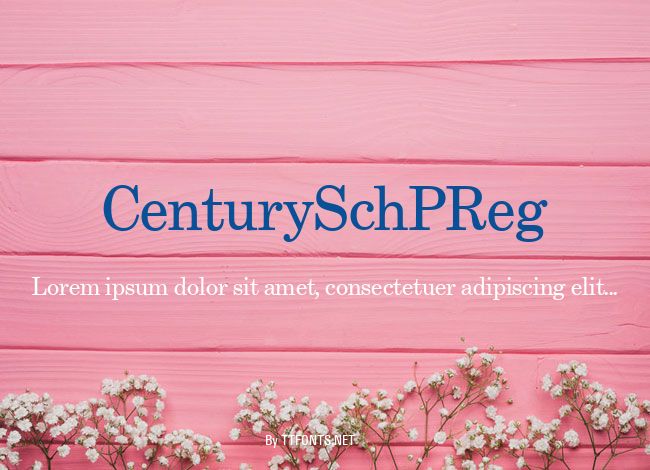 CenturySchPReg example