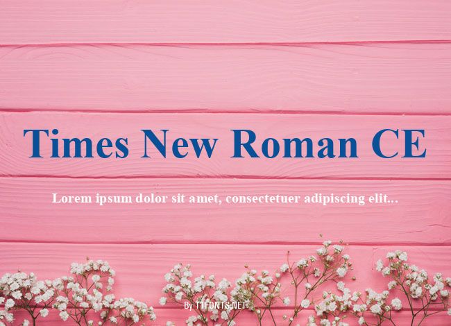 Times New Roman CE example