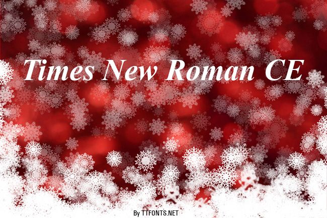 Times New Roman CE example