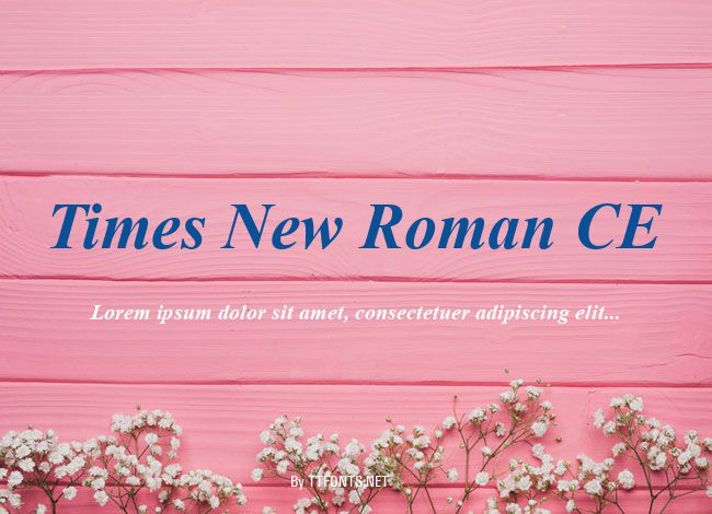 Times New Roman CE example