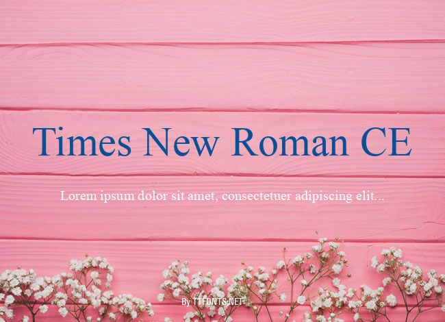 Times New Roman CE example