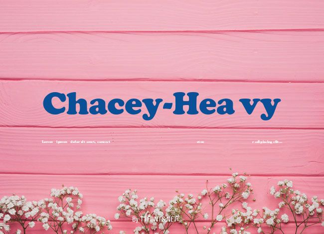Chacey-Heavy example