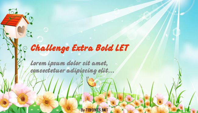 Challenge Extra Bold LET example