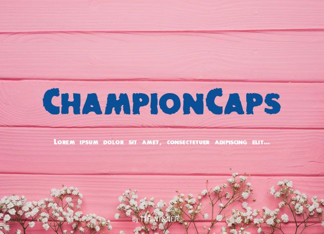ChampionCaps example