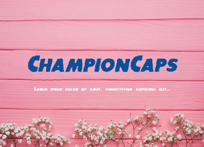 ChampionCaps example