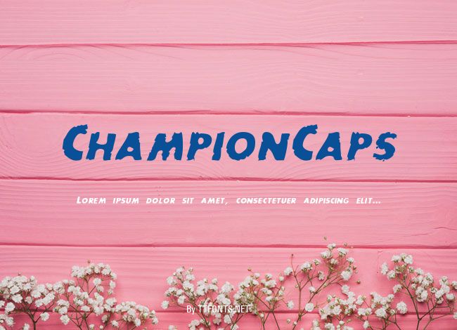 ChampionCaps example