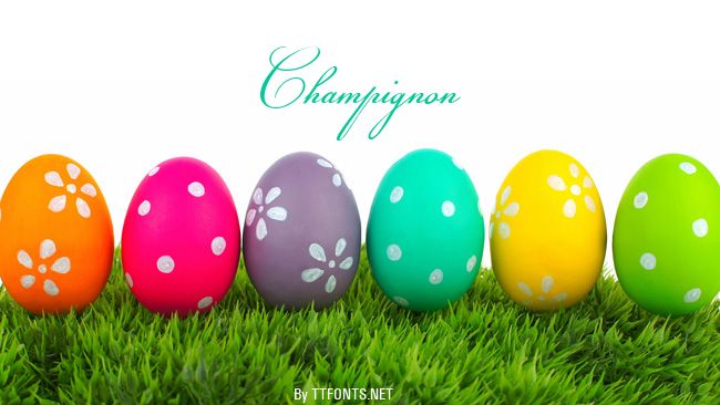 Champignon example