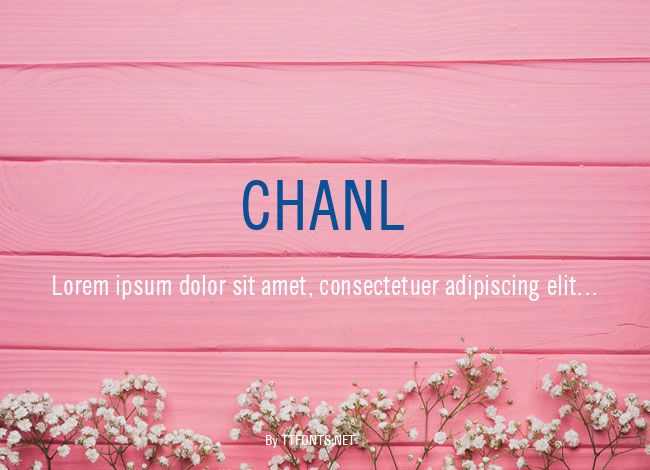 CHANL example