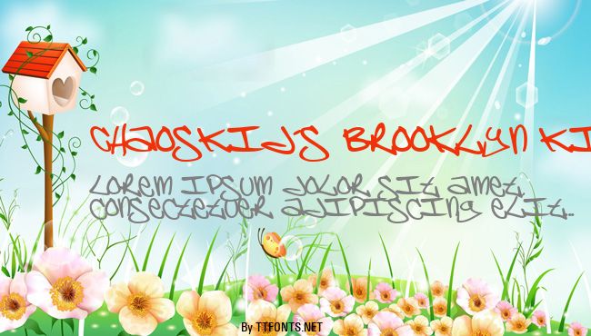 ChaosKid's Brooklyn Kid example