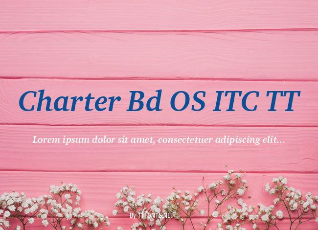 Charter Bd OS ITC TT example