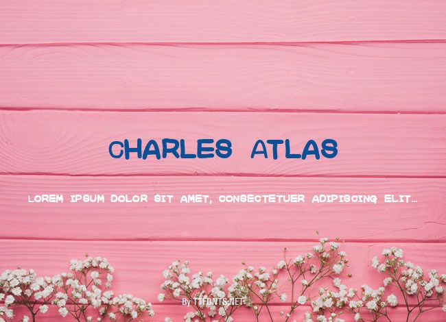 Charles Atlas example