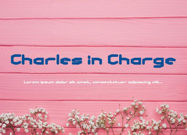 Charles in Charge example