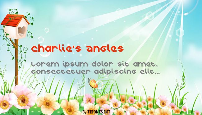 Charlie's Angles example