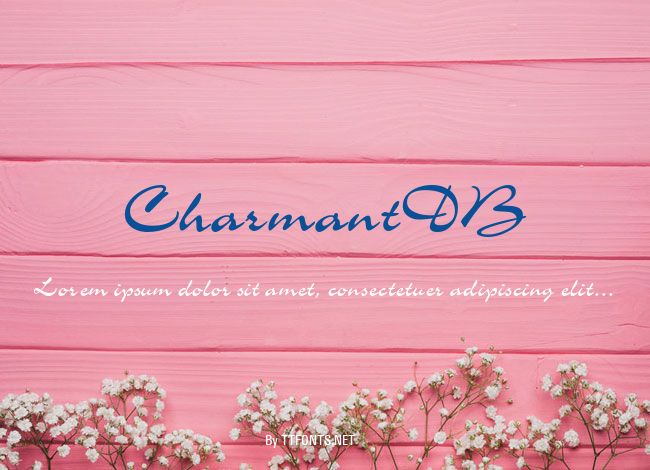 CharmantDB example