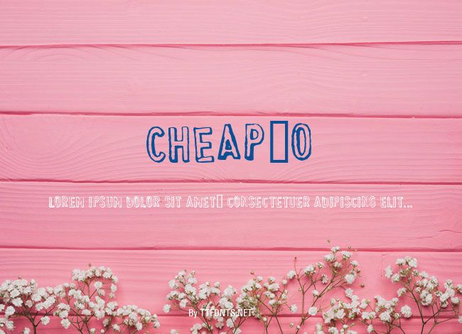 CHEAP_O example