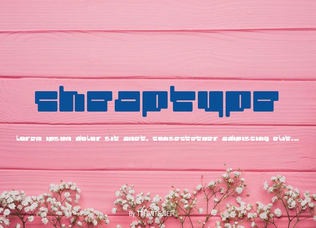 cheaptype example