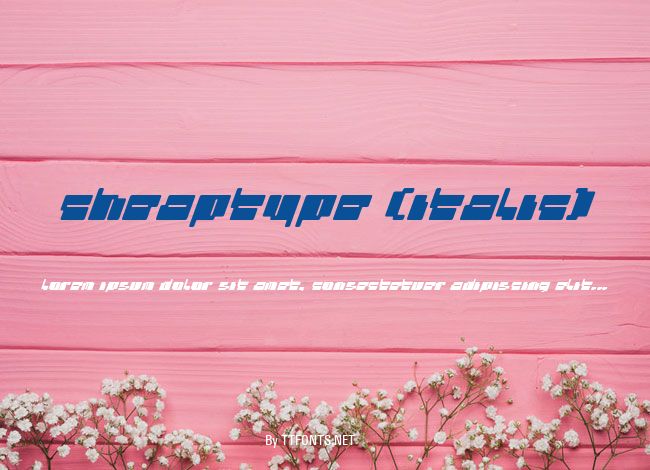 cheaptype (italic) example