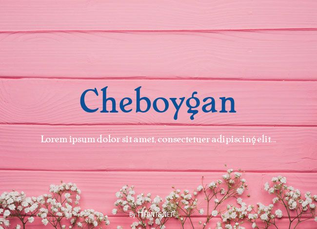 Cheboygan example