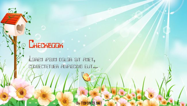 Checkbook example
