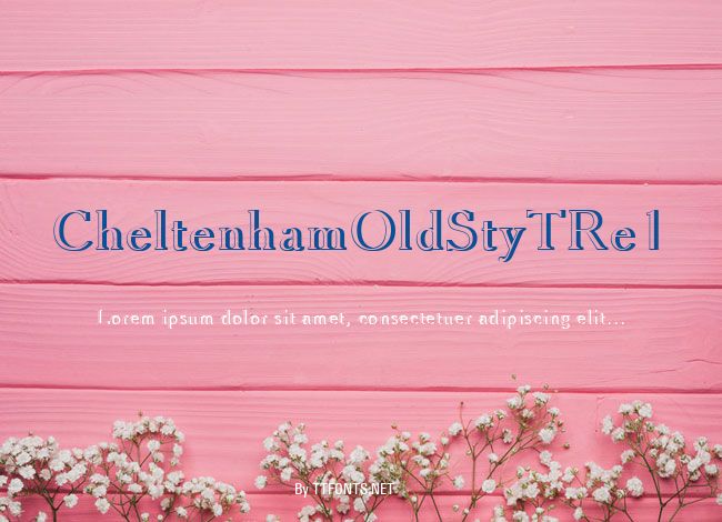 CheltenhamOldStyTRe1 example