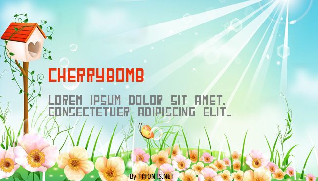CherryBomb example