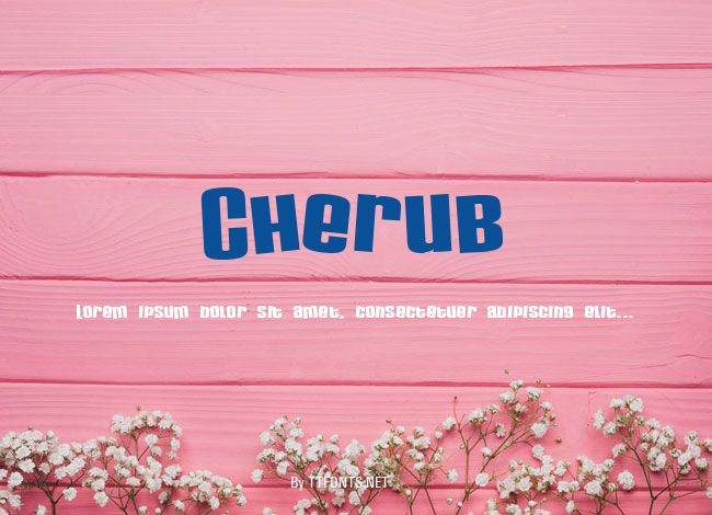 Cherub example