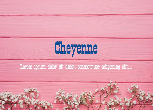 Cheyenne example