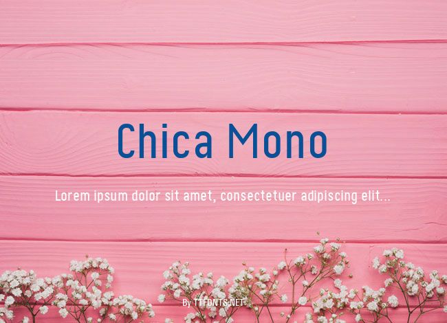 Chica Mono example