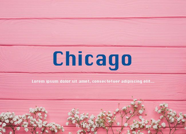Chicago example