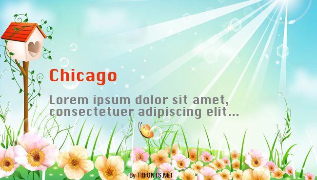 Chicago example