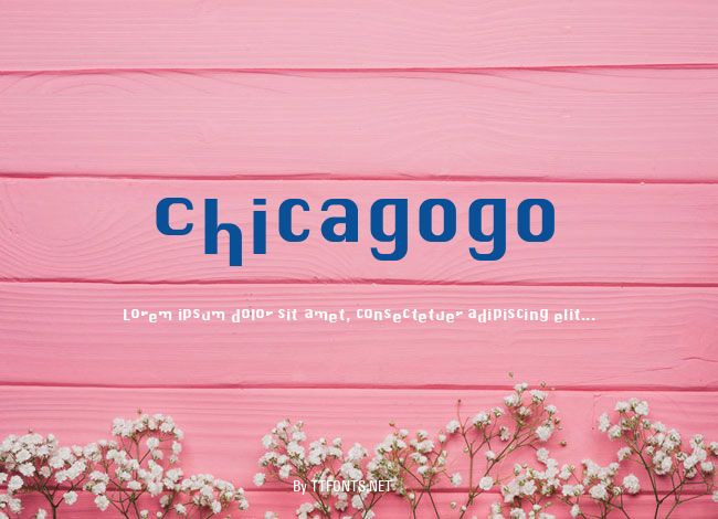 Chicagogo example