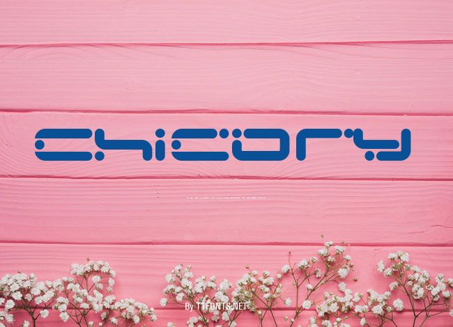 Chicory example
