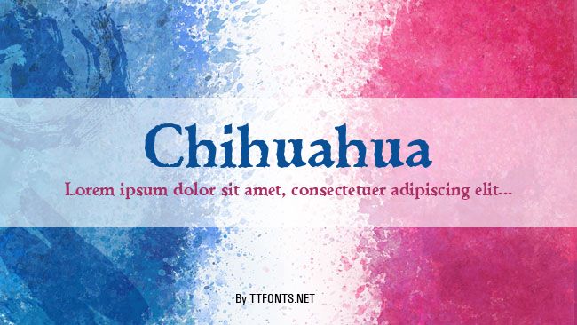 Chihuahua example
