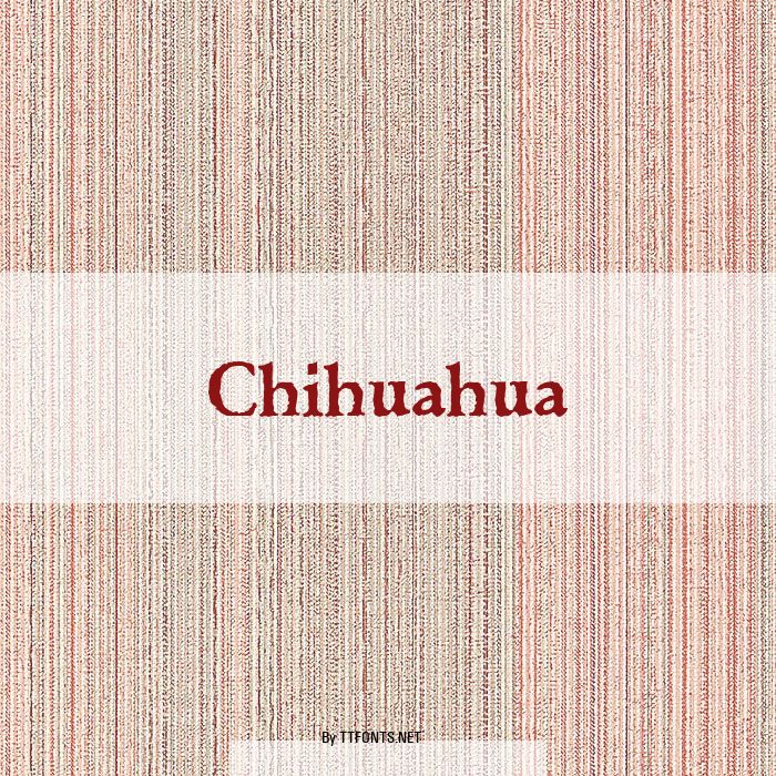 Chihuahua example