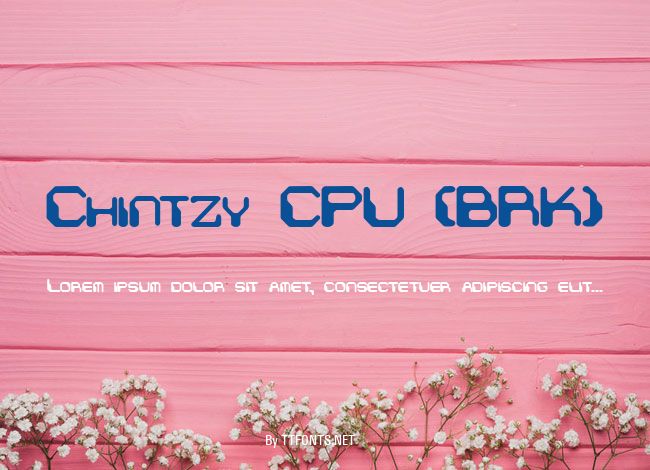 Chintzy CPU (BRK) example