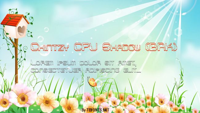 Chintzy CPU Shadow (BRK) example