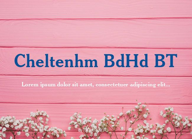 Cheltenhm BdHd BT example