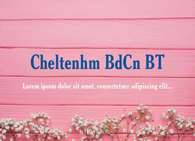 Cheltenhm BdCn BT example