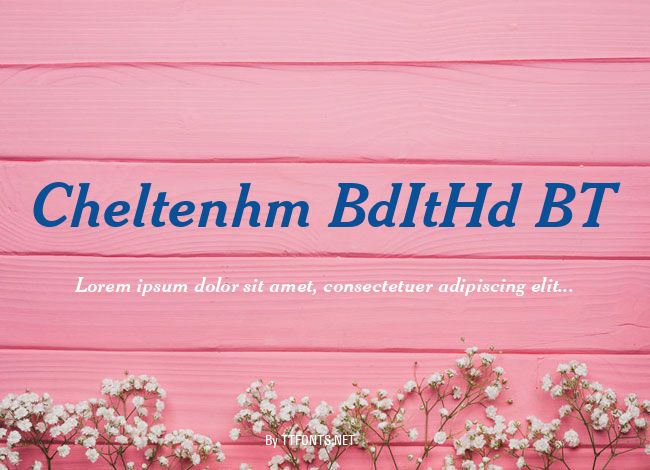 Cheltenhm BdItHd BT example