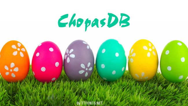 ChopasDB example