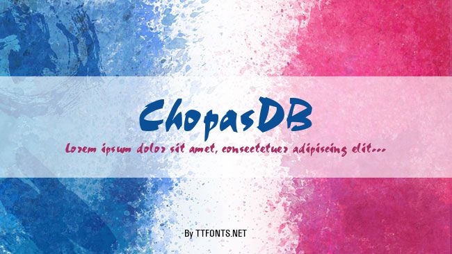 ChopasDB example