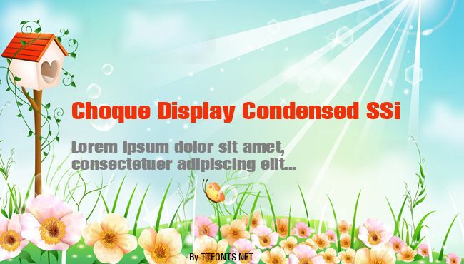 Choque Display Condensed SSi example