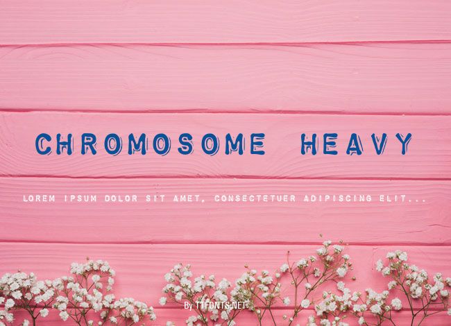 Chromosome Heavy example
