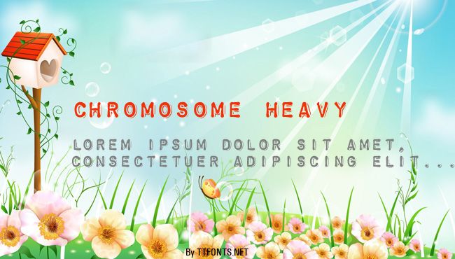 Chromosome Heavy example