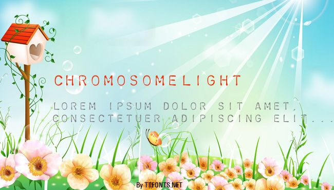 ChromosomeLight example