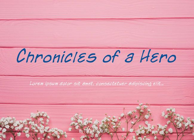 Chronicles of a Hero example