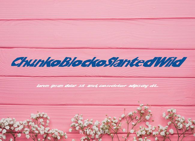 ChunkoBlockoSlantedWild example