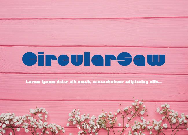 CircularSaw example