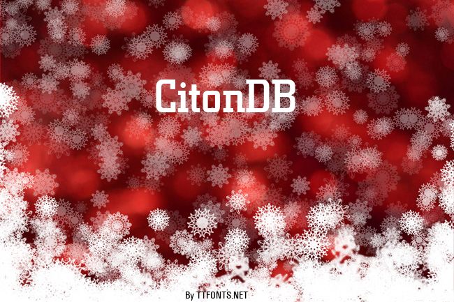 CitonDB example